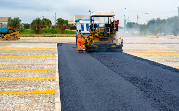 Best Cobblestone Driveway Pavers  in Town N Country, FL
